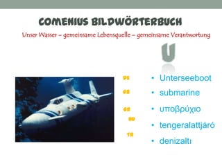 Comenius Bildwörterbuch
Unser Wasser – gemeinsame Lebensquelle – gemeinsame Verantwortung




                                  DE        • Unterseeboot
                                  GB        • submarine
                                   GR       • υποβπύχιο
                                    HU
                                            • tengeralattjáró
                                    TR
                                            • denizaltı
 