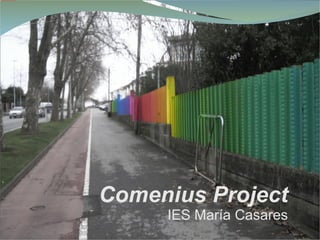 Comenius   Project IES María Casares 