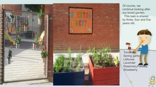 Of course, we
continue looking after
our loved garden.
This task is shared
by three, four and five
years old.
Tomatoes
Spring garlics
Lettuces
Lavender
Rosemary,Parsley,
Strawberry
 