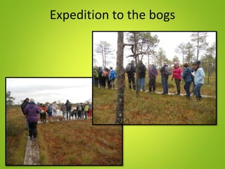 Expedition to the bogs
 