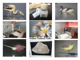 Comenius meeting in slovenia