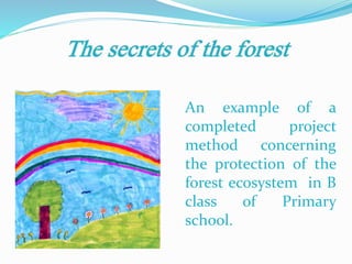 An example of a
completed project
method concerning
the protection of the
forest ecosystem in B
class of Primary
school.
 