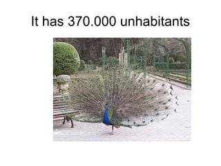 It has 370.000 unhabitants
 