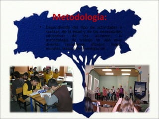 Metodología:
•   Dependiendo del tipo de actividades a
    realizar, de la edad y de las necesidades
    educativas     de    los    alumnos,   la
    metodología de trabajo ha sido muy
    diversa: resúmenes, dibujos, juego,
    murales, trabajo de investigación…
 