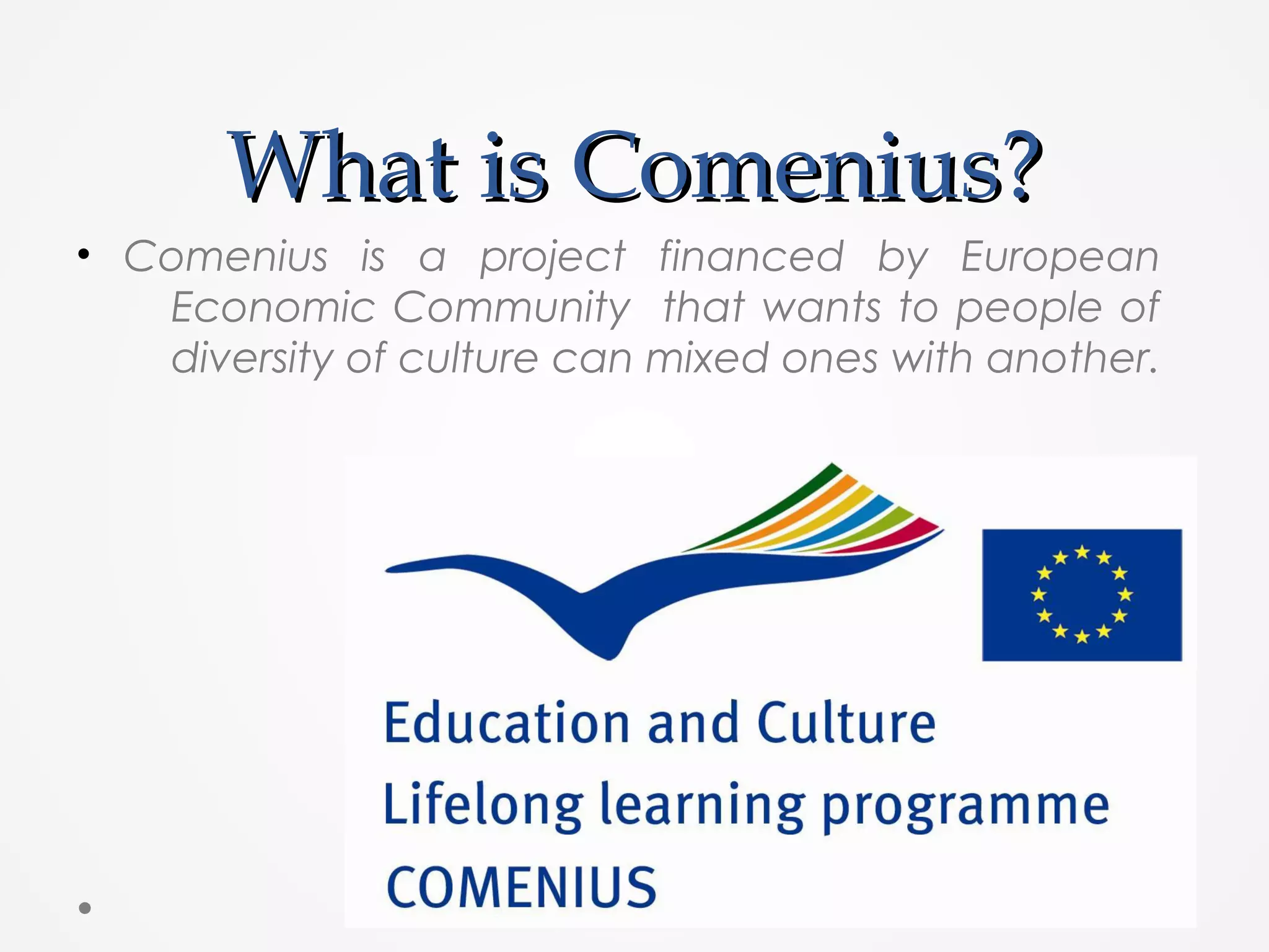 Comenius Project Odp