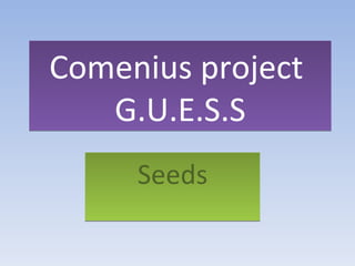 Comenius project
   G.U.E.S.S
     Seeds
 