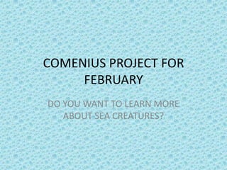 COMENIUS PROJECT FOR FEBRUARY DO YOU WANT TO LEARN MORE ABOUT SEA CREATURES? 