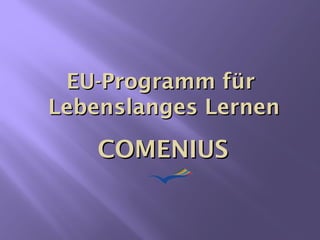 EU-Programm für  Lebenslanges Lernen COMENIUS  