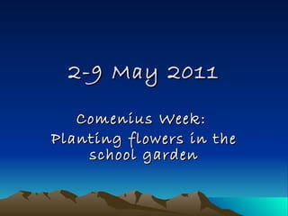 2-9 May 2011 Comenius Week:  Planting flowers in the school garden 