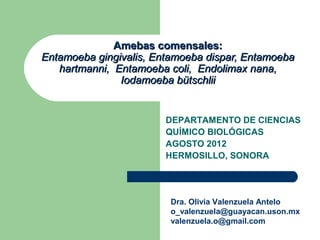 Amebas comensales:
Entamoeba gingivalis, Entamoeba dispar, Entamoeba
   hartmanni, Entamoeba coli, Endolimax nana,
               Iodamoeba bütschlii


                        DEPARTAMENTO DE CIENCIAS
                        QUÍMICO BIOLÓGICAS
                        AGOSTO 2012
                        HERMOSILLO, SONORA




                         Dra. Olivia Valenzuela Antelo
                         o_valenzuela@guayacan.uson.mx
                         valenzuela.o@gmail.com
 