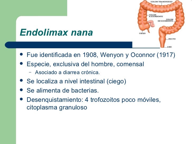 ENDOLIMAX NANA TRATAMIENTO PDF ENDOLIMAX NANA TRATAMIENTO PDF