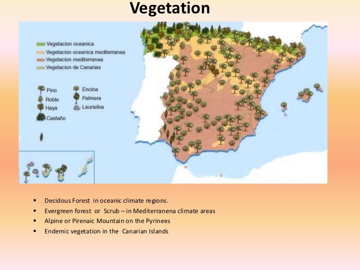 Resultado de imagen de VEGETATION OF SPAIN