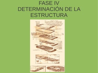 FASE IV
DETERMINACIÓN DE LA
ESTRUCTURA
 