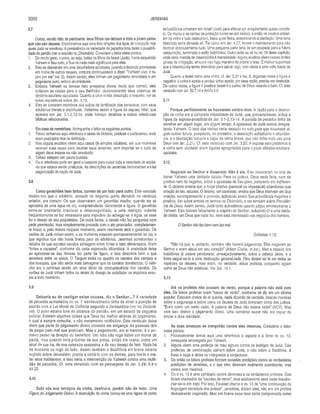 Comentario de Champlin AT V.5 - Is a Ml.pdf