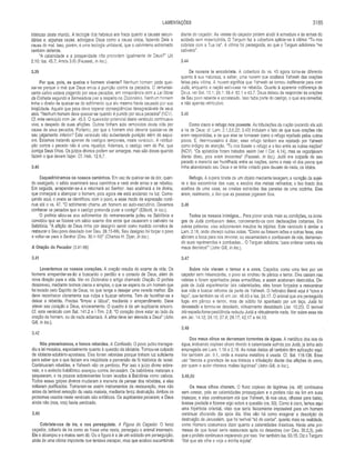 Comentario de Champlin AT V.5 - Is a Ml.pdf