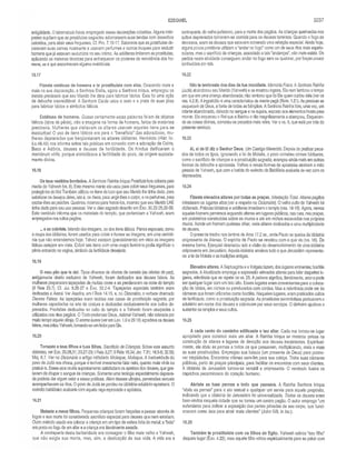 Comentario de Champlin AT V.5 - Is a Ml.pdf