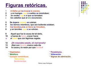 Figuras retóricas. 1   A Dafne ya lo s  brazo s  le crecían ,  2  y en luengo s   ramo s  vuelto s   s e mo s traban;  3  en verde s   hoja s  vi que  s e tornaban lo s  cabello s  que al  oro  o s curecían. 5   De á s pera  corteza   s e cubrían 6  lo s  tierno s  miembro s , que aún bullendo e s taban;  7  lo s  blando s  pie s  en tierra  s e hincaban , 8  y en torcida s   raíce s s e volvían. 9  Aquél que fue la causa de tal daño, 10  a fuerza de  llorar , crecer hacía el  árbol  que con lágrimas regaba. 12  ¡ Oh miserable estado, oh mal tamaño ! 13  ¡ Qué con  llorarla  crezca cada día 14  la causa y la razón por que  lloraba ! *   Hipérbaton.  * Paralelismo. *  Metáfora.  * Aliteración . * Campos semánticos.  * Signos de admiración. Naturaleza.   Sentimientos. Fátima López Rodríguez.  