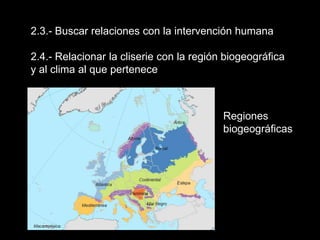 2.3.- Buscar relaciones con la intervención humana2.4.- Relacionar la cliserie con la región biogeográfica y al clima al que pertenece Regiones biogeográficas
