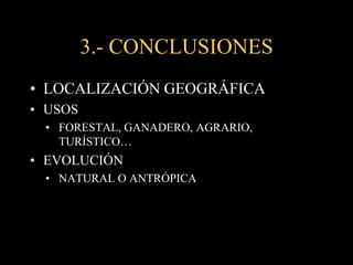 3.- CONCLUSIONESLOCALIZACIÓN GEOGRÁFICAUSOSFORESTAL, GANADERO, AGRARIO, TURÍSTICO…EVOLUCIÓNNATURAL O ANTRÓPICA