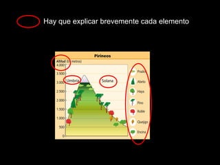 Hay que explicar brevemente cada elemento