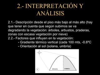 2.- INTERPRETACIÓN Y ANÁLISIS2.1.- Descripción desde el piso más bajo al más alto (hay que tener en cuenta que según subimos se va degradando la vegetación: árboles, arbustos, praderas, zonas con escasa vegetación por nieve)2.2.- Factores que influyen en la vegetación:- Gradiente térmico vertical (cada 100 mts, -0.6ºC- Orientación al sol (solana, umbría)