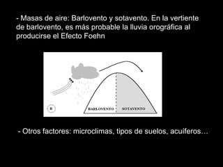 - Masas de aire: Barlovento y sotavento. En la vertiente de barlovento, es más probable la lluvia orográfica al producirse el Efecto Foehn- Otros factores: microclimas, tipos de suelos, acuíferos… 