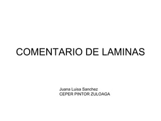COMENTARIO DE LAMINAS Juana Luisa Sanchez CEPER PINTOR ZULOAGA 