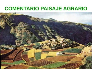 COMENTARIO PAISAJE AGRARIO
 