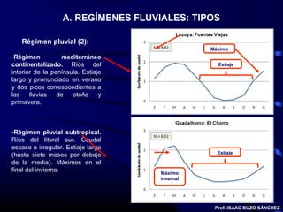 A. REGÍMENES FLUVIALES: TIPOS

   Régimen pluvial (2):
                                               Máximo
-Régimen          mediterráneo
continentalizado. Ríos del                       Estiaje
interior de la península. Estiaje
largo y pronunciado en verano
y dos picos correspondientes a
las    lluvias   de   otoño     y
primavera.



-Régimen pluvial subtropical.
Ríos del litoral sur. Caudal
escaso e irregular. Estiaje largo
                                                 Estiaje
(hasta siete meses por debajo
de la media). Máximos en el
final del invierno.                 Máximo
                                    invernal




                                                Prof. ISAAC BUZO SÁNCHEZ
 