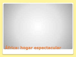 África: hogar espectacular
 