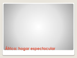 África: hogar espectacular
 
