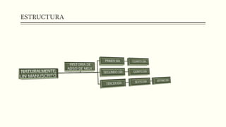 ESTRUCTURA 
 