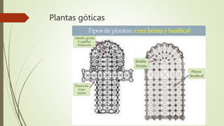 Plantas góticas
 