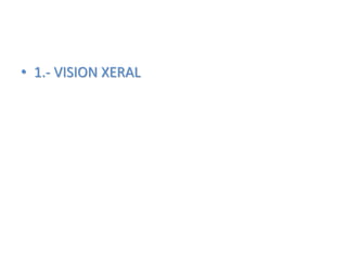 • 1.- VISION XERAL
 