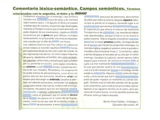 Comentario léxico-semántico. Campos semánticos. Términos
relacionados con la angustia, el dolor y la muerte.
 