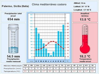 Clima mediterráneo costero