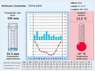 Clima polar