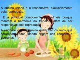 A abelha rainha é a responsável exclusivamente pela reprodução. É a principal componente da colméia porque mantém a harmonia no trabalho, além de ser responsável pela reprodução A rainha é que determina quais são os ovos que serão fertilizados, dando origem aos zangões e operárias .  