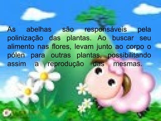 As abelhas são responsáveis pela polinização das plantas. Ao buscar seu alimento nas flores, levam junto ao corpo o pólen para outras plantas, possibilitando assim a reprodução das mesmas.  