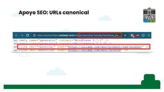 Apoyo SEO: URLs canonical
 