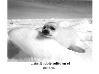 ...sintiéndote solito en el
mundo...
 