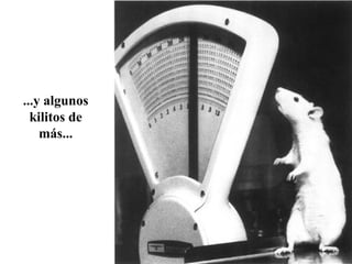 ...y algunos
kilitos de
más...
 