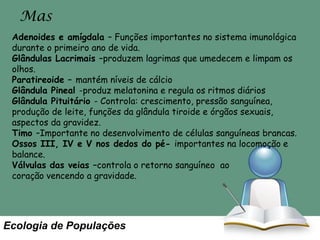 Mas
Adenoides e amígdala – Funções importantes no sistema imunológica
durante o primeiro ano de vida.
Glândulas Lacrimais –produzem lagrimas que umedecem e limpam os
olhos.
Paratireoide – mantém níveis de cálcio
Glândula Pineal -produz melatonina e regula os ritmos diários
Glândula Pituitário - Controla: crescimento, pressão sanguínea,
produção de leite, funções da glândula tiroide e órgãos sexuais,
aspectos da gravidez.
Timo –Importante no desenvolvimento de células sanguíneas brancas.
Ossos III, IV e V nos dedos do pé- importantes na locomoção e
balance.
Válvulas das veias –controla o retorno sanguíneo ao
coração vencendo a gravidade.

Ecologia de Populações

 