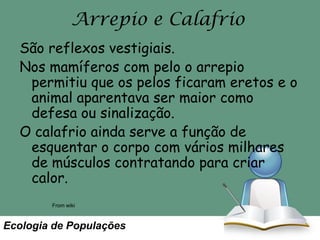 Arrepio e Calafrio
São reflexos vestigiais.
Nos mamíferos com pelo o arrepio
permitiu que os pelos ficaram eretos e o
animal aparentava ser maior como
defesa ou sinalização.
O calafrio ainda serve a função de
esquentar o corpo com vários milhares
de músculos contratando para criar
calor.
From wiki

Ecologia de Populações

 