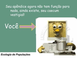 Seu apêndice agora não tem função para
nada, ainda existe, seu caecum
vestigial!

Você
Você

Ecologia de Populações

Coelho

Zebra

 