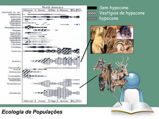 Sem hypocone
Vestígios de hypocone
hypocone

Ecologia de Populações

 