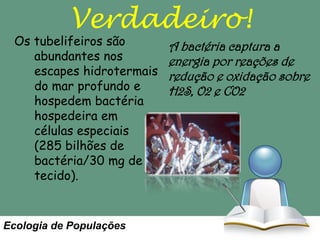 Verdadeiro!

Os tubelifeiros são
abundantes nos
escapes hidrotermais
do mar profundo e
hospedem bactéria
hospedeira em
células especiais
(285 bilhões de
bactéria/30 mg de
tecido).

Ecologia de Populações

A bactéria captura a
energia por reações de
redução e oxidação sobre
H2S, O2 e CO2

 