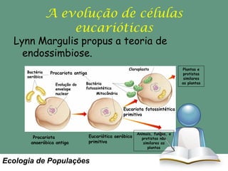 A evolução de células
eucarióticas

Lynn Margulis propus a teoria de
endossimbiose.
Bactéria
aeróbica

Cloroplasto

Procariota antiga
Evolução do
envelope
nuclear

Bactéria
fotossintética
Mitocôndria

Eucariota fotossintética
primitiva

Procariota
anaeróbica antiga

Eucariótica aeróbica
primitiva

Ecologia de Populações

Animais, fungos, e
protistas não
similares as
plantas

Plantas e
protistas
similares
as plantas

 