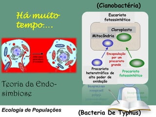 (Cianobactéria)

Há muito
tempo….

Eucarioto
fotossintético
Cloroplasto
Mitocôndria

Encapsulação
por um
procarioto
grande

Teoria da Endosimbiose
Ecologia de Populações

Procarioto
heterotrófico de
alto poder de
oxidação

Procarioto
fotossintético

(Bacteria De Typhus)

 