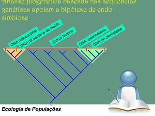 Análise filogenética baseada nas sequencias
genéticas apoiam a hipótese de endosimbiose.

Ecologia de Populações

 